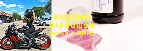 круглые Белокуриха