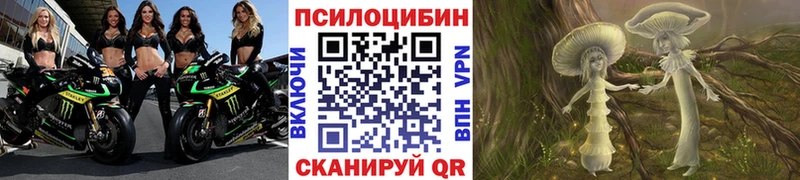 купить сайты Балабаново Галлюциногенные грибы мицелий