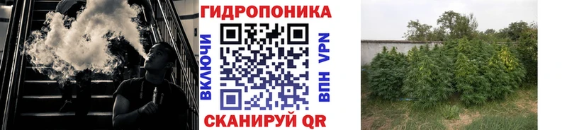 Шишки марихуана THC 21% Балабаново